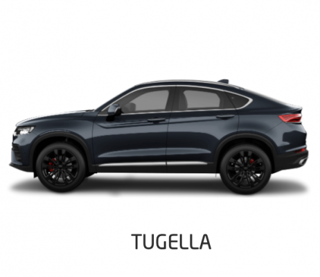 Ремонт Тонировка Tugella